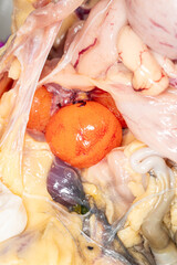 Anatomy and Physiology of the chicken in laboratory.