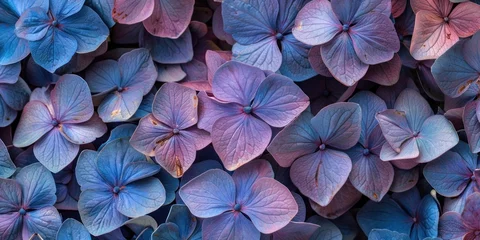 Raamstickers Flowers Organic Texture in Vibrant Hues © Аrtranq