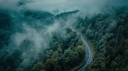 Photo sur Aluminium brossé Route en forêt A road snakes through a dense forest in this aerial view, surrounded by trees and greenery