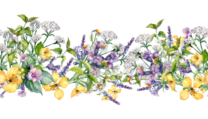 Seamless border of wild medicinal plant, herbs watercolor illustration isolated on white. Achillea millefolium, nettle, pulmonaria, celanine flower board hand drawn. Design for label, package, print