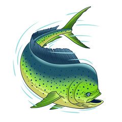Dorado Fish in Fast Motion Hand Drawn Illustration