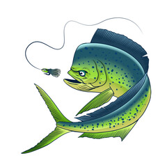Mahi-Mahi Fish Catching Fishing Lure Hand Drawn Illustration