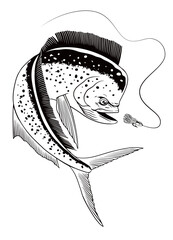 Mahi-Mahi Fish Catching Fishing Lure Illustration Black and White