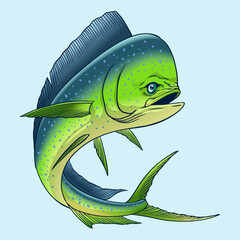 Mahi-Mahi or Dorado Fish Hand Drawn Realistic Illustration Isolated