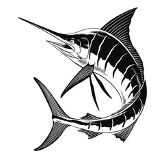 Marlin Fish Jump Hand Drawn Illustration Isolated