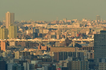 Fototapeta na wymiar Tokyo city views in dusk beautiful light Japan travel