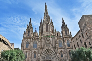 Barcellona, la Cattedrale della Santa Croce e di Santa Eulalia - Catalogna,  Spagna - obrazy, fototapety, plakaty