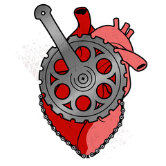 Heart, anatomical heart, bicycle, cyclist, Love concept, love bike, illustration, vector.