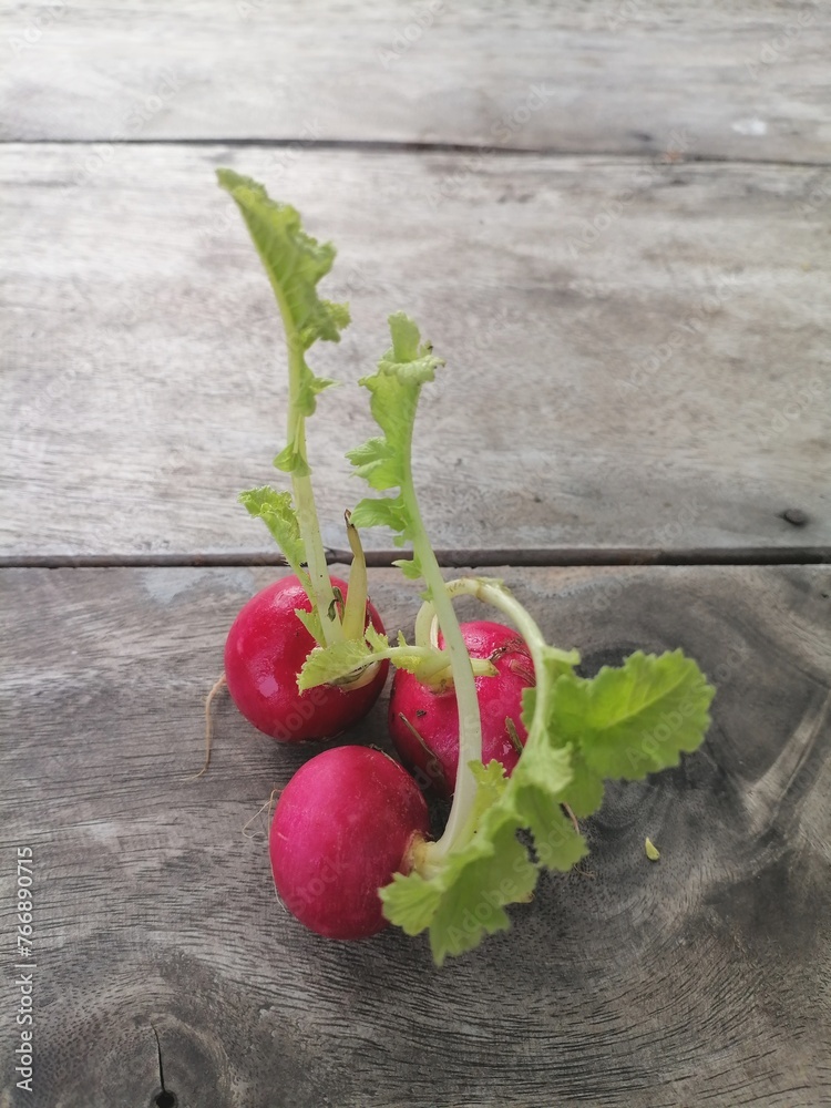 Canvas Prints fresh red radish vegetables on wooden background.