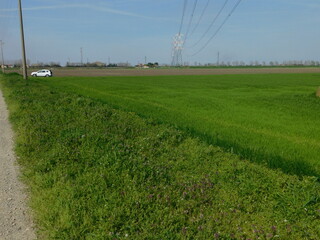 paesaggio in campagna nel mese di aprile
