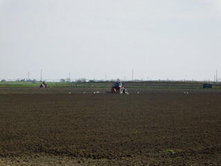 mezzo agricolo trattore nei campi