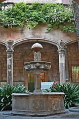 Barcellona, la fontana del chiostro della Cattedrale della Santa Croce e di Santa Eulalia - Catalogna, Spagna