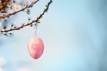 Easter background with hanging Easter egg on blossom branches at blue sky background with sunshine. Outdoor.