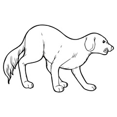 dog sketch vector illustration