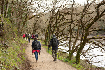 Naklejka premium groupe de randonneurs sur un sentier en Bretagne