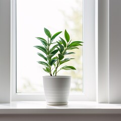 A vibrant green potted plant placed on a white windowsill