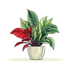 a potted plant with a red plant in it