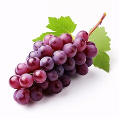A ripe purple grape, nestled among its vine. Fresh and inviting against a clean white background