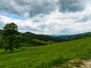 Fototapeta na wymiar Summer landscape of the Carpathian Mountains