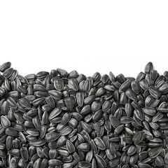 black sunflower seeds texture