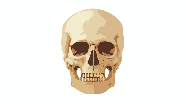 Scary skull bone skeleton isolated icon flat vector isolated
