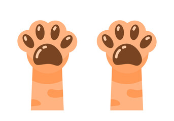 Cute paws up orange cat pet leg flat vector icon design