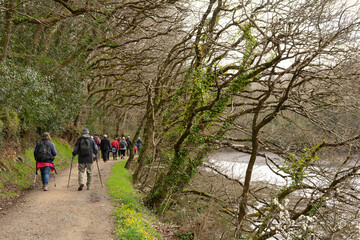 groupe de randonneurs sur un sentier en Bretagne