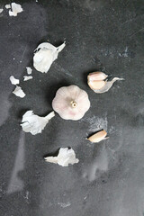 Group of Sea Shells on Black Surface