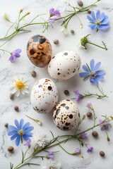 Fototapeta premium Easter quail eggs and springtime flowers over white background, spring holidays concept with copy space, top view