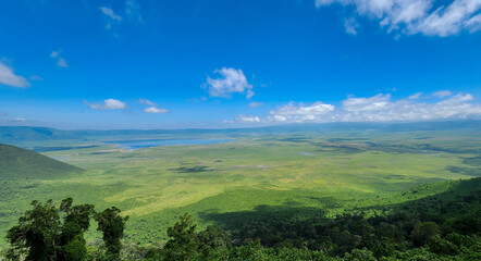 Fototapeta na wymiar Beautiful wildlife of Ngorongoro in Tanzania