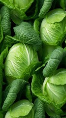 a group of green cabbages