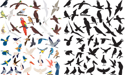 set of birds in flat style, on a white background vector