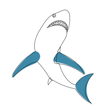 shark sketch, on white background vector