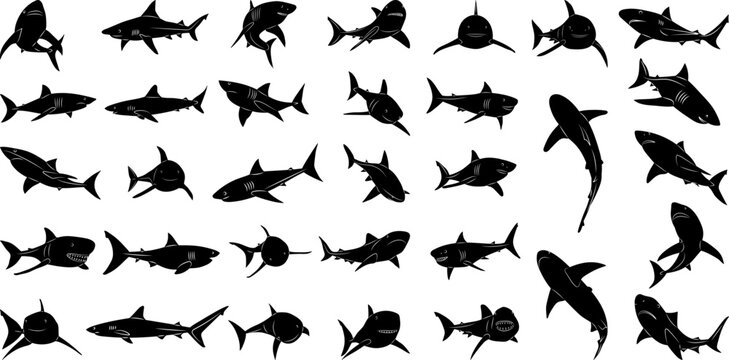 shark silhouette set, on white background vector