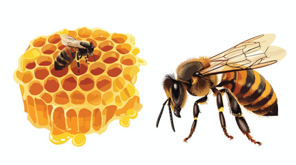 Sweet honeycomb and wasp stinging flat vector - obrazy, fototapety, plakaty