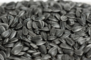 black sunflower seeds texture