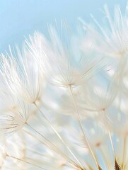 Soft focus on dandelion seeds with a gentle blue backdrop. Generated AI.