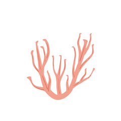 Obraz premium Coral reef emblem isolated on white background. Sea underwater elements. Vector flat illustration