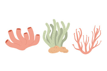 Coral reef set isolated on white background. Sea underwater elements. Vector flat illustration