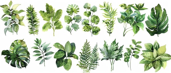 Lush Forest Greenery bouquets in watercolor clipart, featuring an array of green shades and textures, perfectly isolated for crisp diecutting and versatile design applications - obrazy, fototapety, plakaty