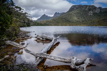Crédence de cuisine en verre imprimé Mont Cradle Cradle Mountain National Park in Tasmania, Australia