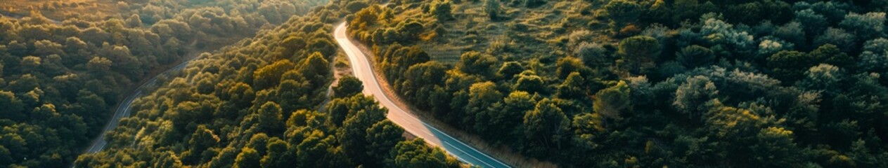 Aerial View of Road Cutting Through Forest - obrazy, fototapety, plakaty