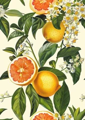 Fototapeten A vintage print of bergamot, lemon, grapefruit, Lilly of the valley © Wendelin