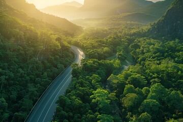 Aerial View of Road Surrounded by Trees - obrazy, fototapety, plakaty
