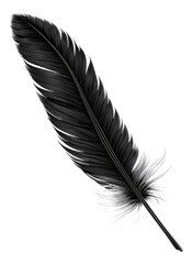 Black quill, cut out - stock png.