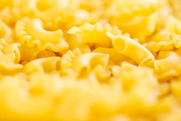 Italian pasta Creste Di Gallo dry, raw pasta, close-up. Rooster scallop. Selective focus.