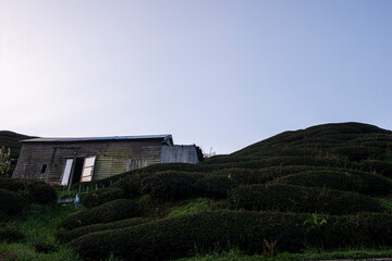 Lishan Mountains in Taichung of Taiwan