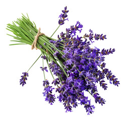 Fresh lavender bouquet with green stems, cut out - stock png.