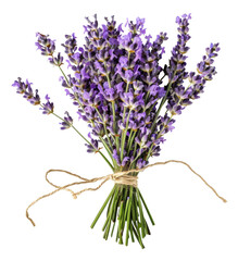 Fresh lavender bouquet with green stems, cut out - stock png.