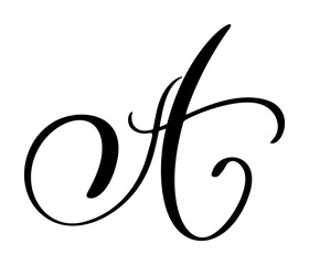 Vector calligraphy hand drawn letter A. Script font icon. Handwritten brush style
